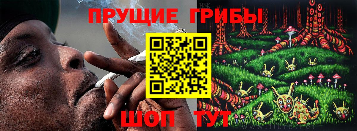 Псилоцибиновые грибы GOLDEN TEACHER Саянск